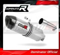 Auspuff Schalldämpfer DOMINATOR HP1 passend für Derbi Terra Adventure 125 2008  2015 2