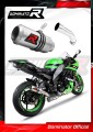 Auspuff Schalldämpfer DOMINATOR GP passend für Kawasaki ZX10R 2008  2010
