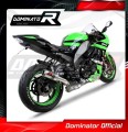 Auspuff Schalldämpfer DOMINATOR GP passend für Kawasaki ZX10R 2008  2010 3