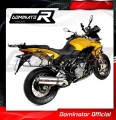 Auspuff Schalldämpfer DOMINATOR OV passend für Aprilia ETV 1200 Caponord 2013  2016 3