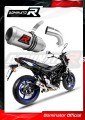 Auspuff Schalldämpfer DOMINATOR GP passend für Suzuki SV 650 2016  2023