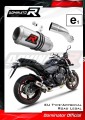 Auspuff Schalldämpfer DOMINATOR homologiert GP passend für CB 600F HORNET 2007  2013 4
