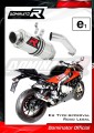Auspuff Schalldämpfer DOMINATOR homologiert GP 1 passend für S1000RR 2015  2016 3