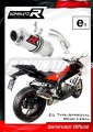 Auspuff Schalldämpfer DOMINATOR homologiert GP 1 passend für S1000RR 2017  2018 3