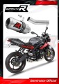 Auspuff Schalldämpfer DOMINATOR GP passend für Triumph STREET TRIPLE 675 R / S / RS 2013  2016