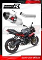 Auspuff Schalldämpfer DOMINATOR HP3 passend für Triumph STREET TRIPLE 675 R / S / RS 2013  2016
