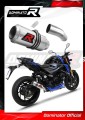 Auspuff Schalldämpfer DOMINATOR GP passend für Suzuki GSXS 750 2017  2020