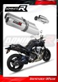 Auspuff Schalldämpfer DOMINATOR GP passend für Yamaha MT 01 1700 2005  2012