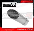 Auspuff Schalldämpfer DOMINATOR GP3 passend für S1000RR 2012  2014 2