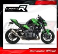 Auspuff Schalldämpfer DOMINATOR HP1 passend für Kawasaki Z900 2017  2019 4