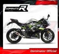 Auspuff Schalldämpfer DOMINATOR GP passend für Kawasaki NINJA 125 Z125 2019  2023 4