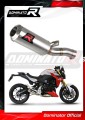 Auspuff Schalldämpfer DOMINATOR GP passend für BMW F900R 2020  2026