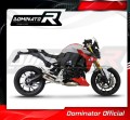 Auspuff Schalldämpfer DOMINATOR GP passend für BMW F900R 2020  2026 4