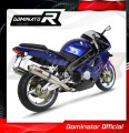 Auspuff Schalldämpfer DOMINATOR rund passend für MuZ MZ 1000 S 2004  2007 3