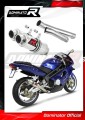 Auspuff Schalldämpfer DOMINATOR GP1 passend für MuZ MZ 1000 S 2004  2007