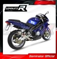 Auspuff Schalldämpfer DOMINATOR GP1 passend für MuZ MZ 1000 S 2004  2007 3
