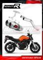 Auspuff Schalldämpfer DOMINATOR GP passend für Yamaha FZ6 2004  2010