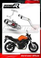 Auspuff Schalldämpfer DOMINATOR OV G2 passend für Yamaha FZ6 2006  2010