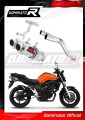 Auspuff Schalldämpfer DOMINATOR GP1 passend für Yamaha FZ6 2006  2010 4