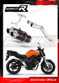 Auspuff Schalldämpfer DOMINATOR GP1 schwarz passend für Yamaha FZ6 2004  2010