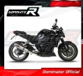Auspuff Schalldämpfer DOMINATOR homologiert rund passend für YAMAHA FZ1 1000 FAZER 2006  2015 4