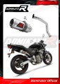 Auspuff Schalldämpfer DOMINATOR GP passend für Honda CB 600F HORNET 1998  2002