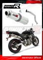 Auspuff Schalldämpfer DOMINATOR rund passend für Honda CB 600F HORNET 1998  2002