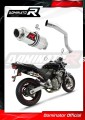 Auspuff Schalldämpfer DOMINATOR GP1 passend für Honda CB 600F HORNET 1998  2002