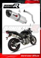 Auspuff Schalldämpfer DOMINATOR HP1 passend für Honda CB 600F HORNET 1998  2002