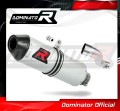 YFM 250 RAPTOR EXHAUST Yamaha Muffler Auspuff Sportauspuff Silencer Echappement Silencieux Scarico Scarichi Escape Wydech Tłumik Carbon Tip MX 2008 - 2013 DOMINATOR 1