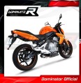 Auspuff Schalldämpfer DOMINATOR GP1 passend für Kawasaki ER  6 N / F 650 2006  2008