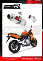 exhaust muffler DOMINATOR GP1 fits to Kawasaki ER  6 N / F 650 2009  2011