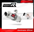 Auspuff Schalldämpfer DOMINATOR GP1 passend für Kawasaki ER  6 N / F 650 2009  2011 2