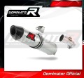 Auspuff Schalldämpfer DOMINATOR HP2 passend für Kawasaki ER  6 N / F 650 2009  2011 2