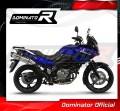 Auspuff Schalldämpfer DOMINATOR HP1 passend für Suzuki DL 650 VStrom 2004  2006 4