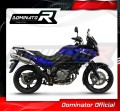 Auspuff Schalldämpfer DOMINATOR homologiert OVAL passend für DL 650 VSTROM 2004  2006 4