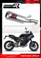 Auspuff Schalldämpfer DOMINATOR GP passend für BMW F900XR 2020  2026