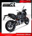 Auspuff Schalldämpfer DOMINATOR GP passend für BMW F900XR 2020  2026 3