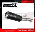 Auspuff Schalldämpfer DOMINATOR GP schwarz passend für BMW F900XR 2020  2026 2