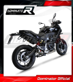 komplette Auspuffanlage mit Schalldämpfer DOMINATOR Full System GP passend für BMW F900XR 2020  2026 3