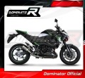 Auspuff Schalldämpfer DOMINATOR GPS passend für Kawasaki Z800 2013  2016 4