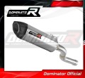 Auspuff Schalldämpfer DOMINATOR HP5 passend für BMW F900R 2020  2026