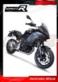 DOMINATOR Auspuffkrümmer passend für BMW F900XR 2020  2026 3