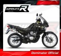 Auspuff Schalldämpfer DOMINATOR HP1 passend für Honda XL 650 V TRANSALP 2001  2007 4