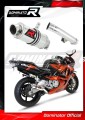 Auspuff Schalldämpfer DOMINATOR GP1 passend für Honda CBR 600 F2 / F3 1991  1998