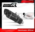 Ducati MONSTER 620 2002 - 2006 EXHAUST Muffler Auspuff Sportauspuff Silencer Echappement Silencieux Scarico Scarichi Escape Wydech Tłumik HP1 BLACK Dominator Exhaust System