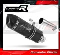 Auspuff Schalldämpfer DOMINATOR HP1 schwarz passend für Derbi Terra Adventure 125 2008  2015 2