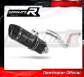 Auspuff Schalldämpfer DOMINATOR HP1 schwarz passend für BMW G310R 2016  2022 2