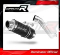 Auspuff Schalldämpfer DOMINATOR GP1 schwarz passend für Kawasaki Z750 2004  2006 2