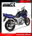 Auspuff Schalldämpfer DOMINATOR rund passend für Yamaha TDM 850 Right Side 1996  2001 3